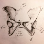 It's Not the Size of the Baby, But the Position of the Pelvis!