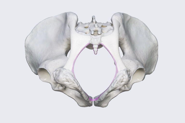 Yoga and Exercises to Widen Your Pelvis for Birth - Prenatal Yoga Center