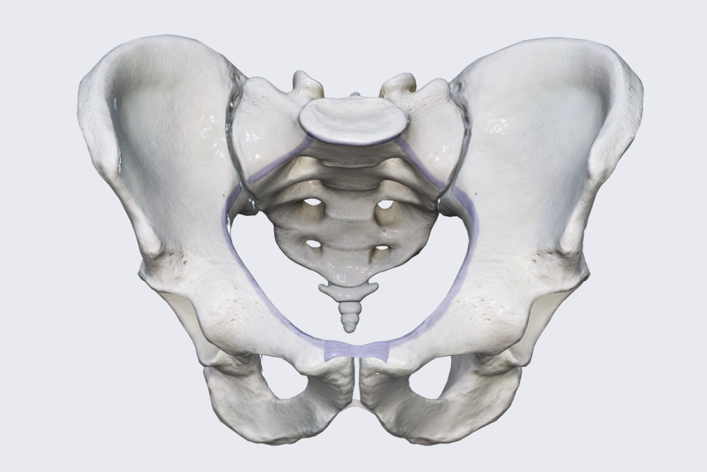Yoga and Exercises to Widen Your Pelvis for Birth - Prenatal Yoga Center